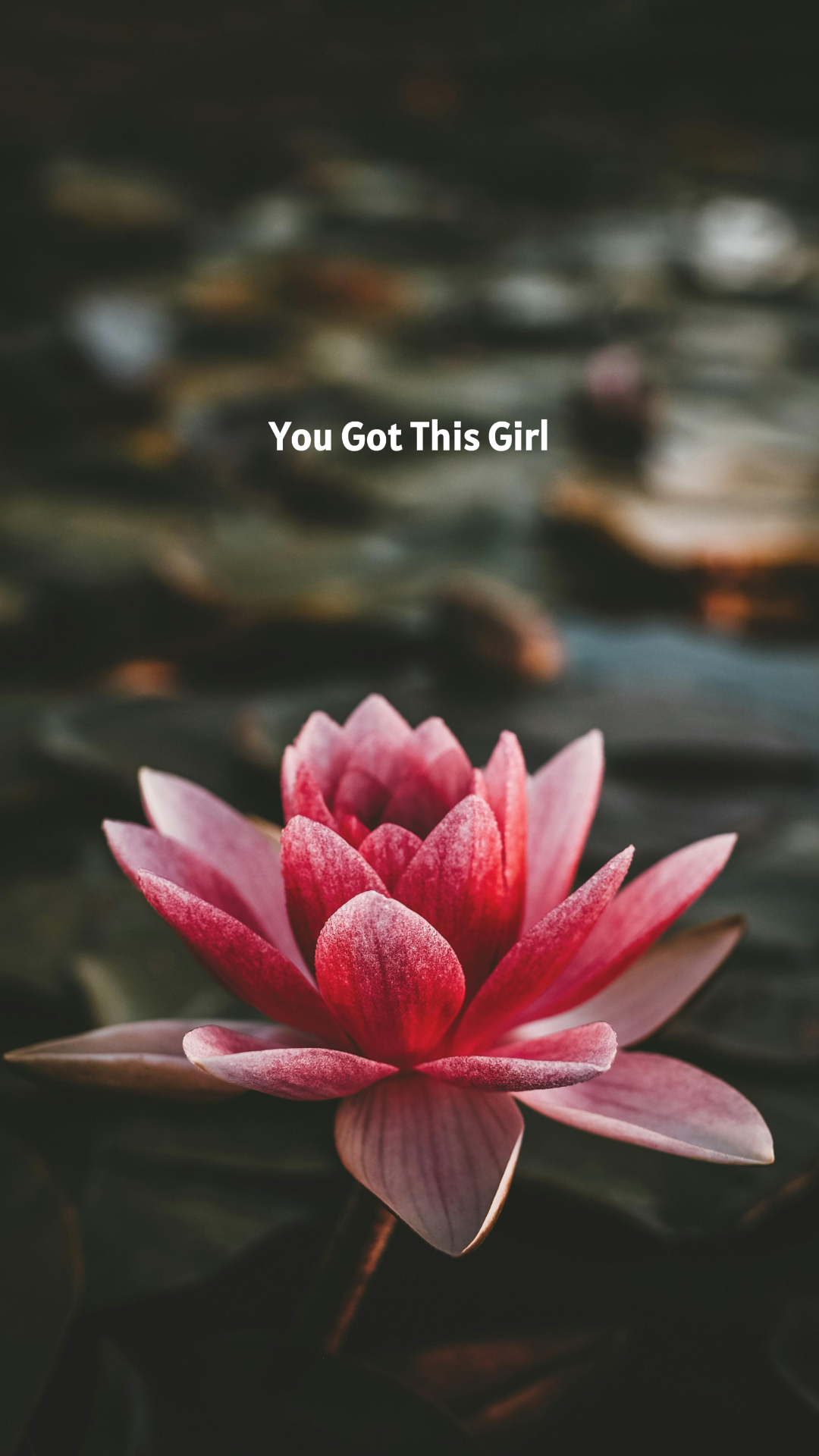 Modelo de imagem Papel de parede Criativo Poster Flor