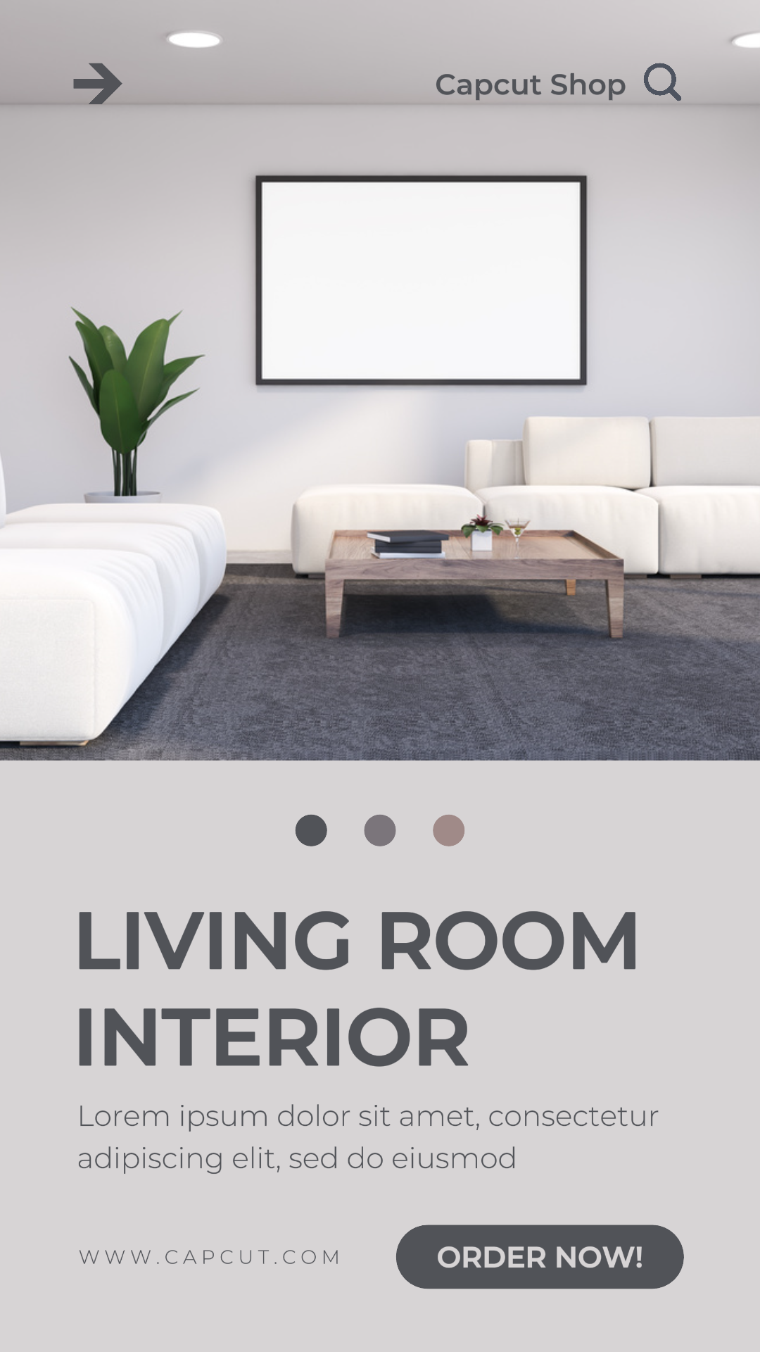 Household Living Room Interior Promotion