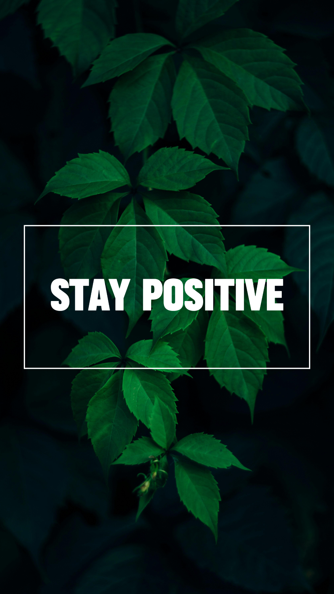 Wallpaper Creative Poster Quotes Simple Green Leaf