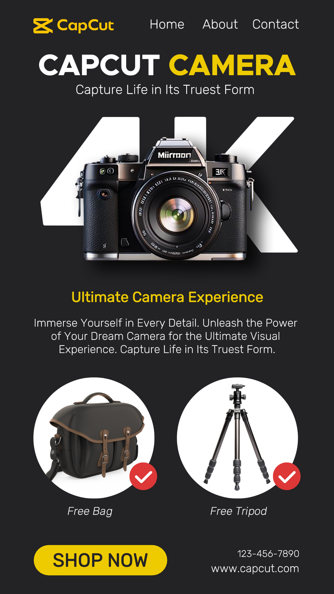 Camera Promotion Instagram Story