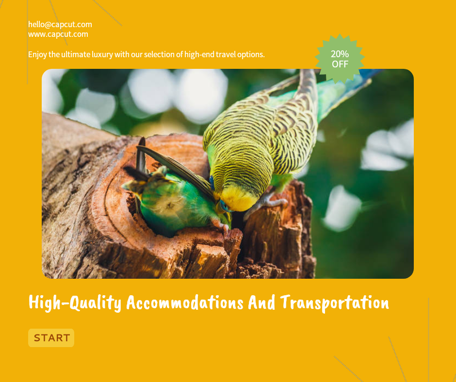 Exibição de efeitos para a indústria de viagens