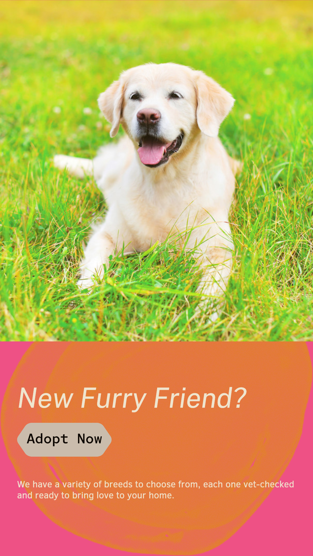 Pet industry New arrivals