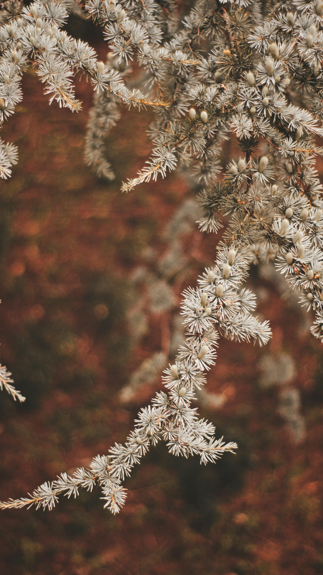 Wallpaper Creative Poster Flower