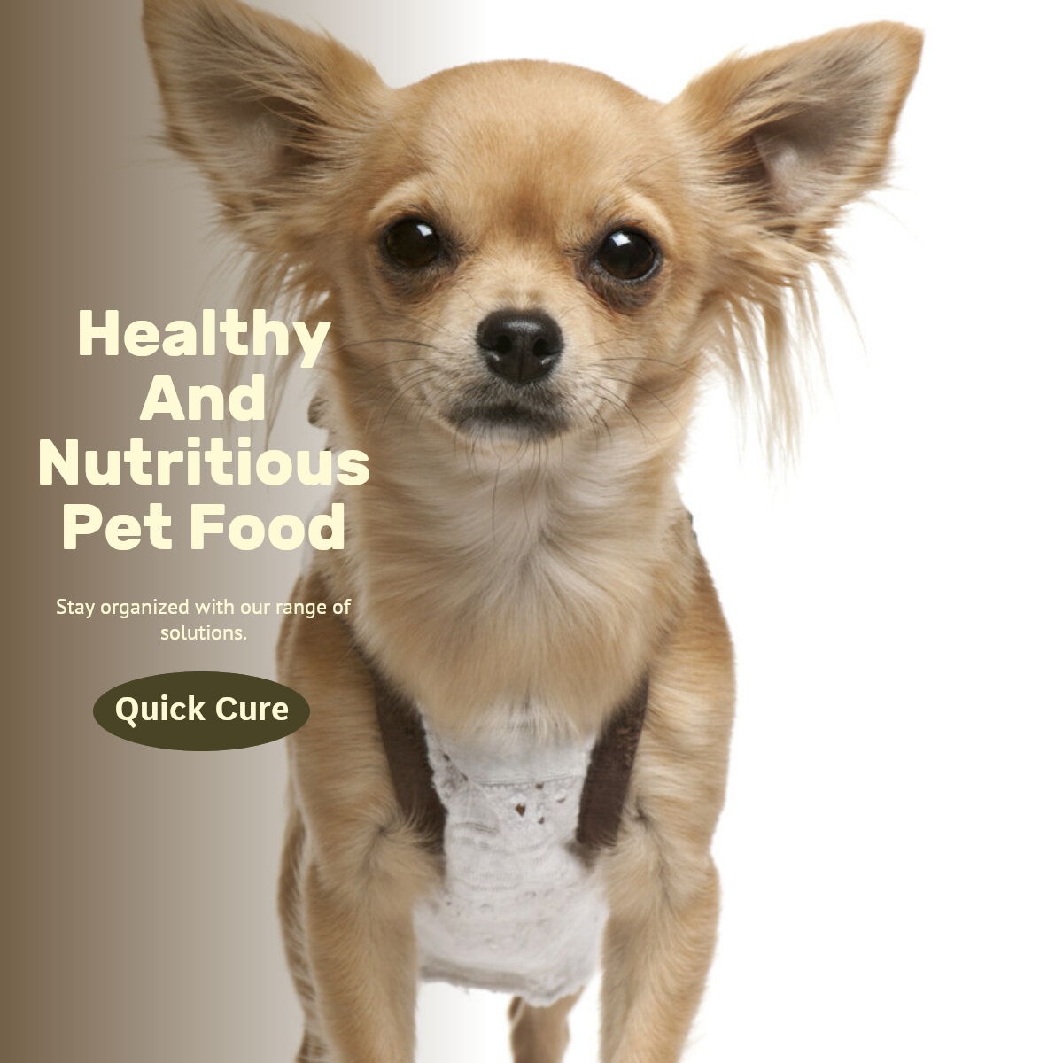 Pantalla de efectos de la industria de mascotas