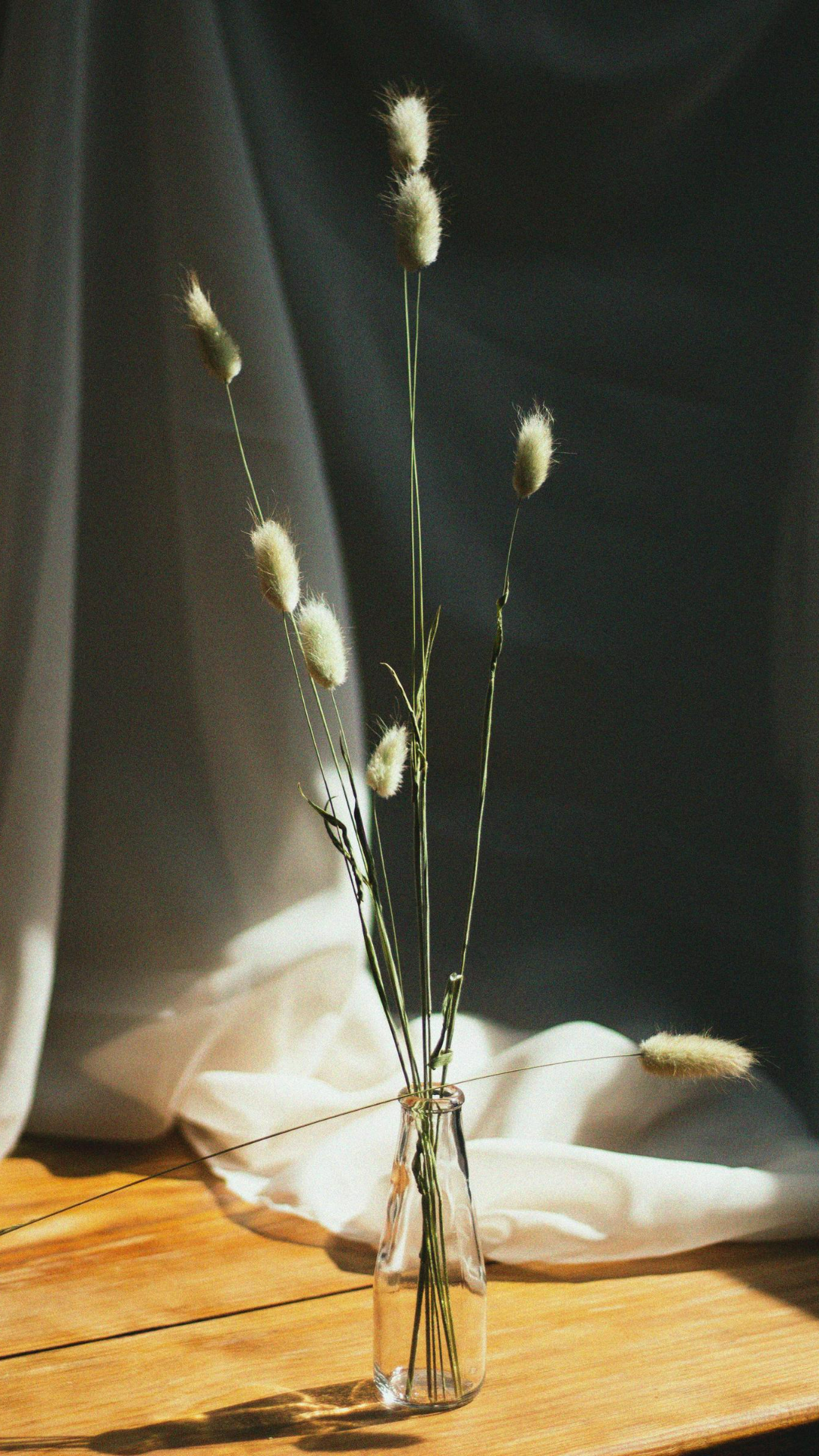 Image template wallpaper 9:16 Flower