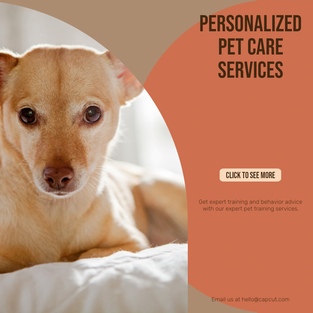 Pet industry Effect Display