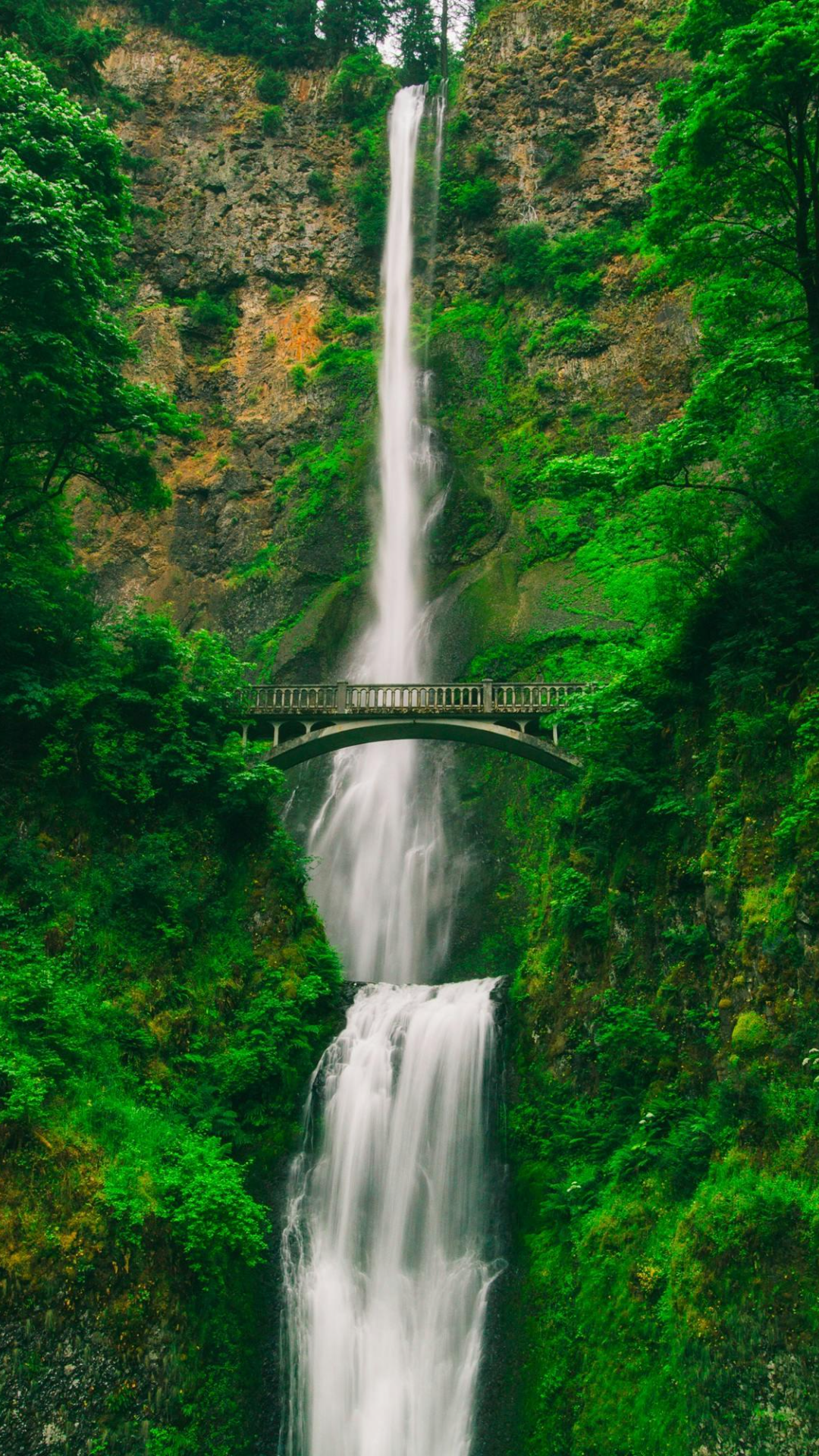 Fondo de pantalla cartel creativo cascada