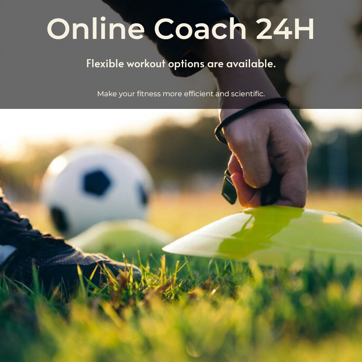 Exibição de produtos de treino e fitness