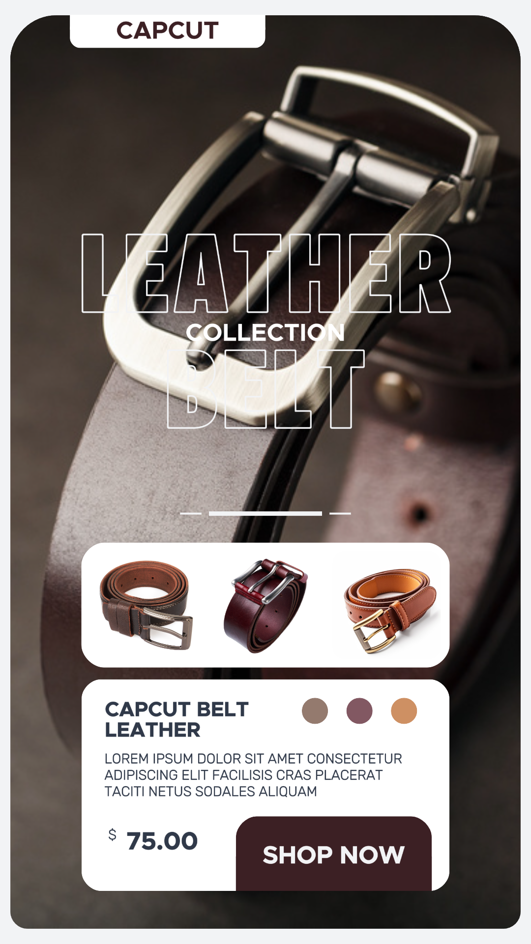Fashion Industry Instagram Story Leather Belt