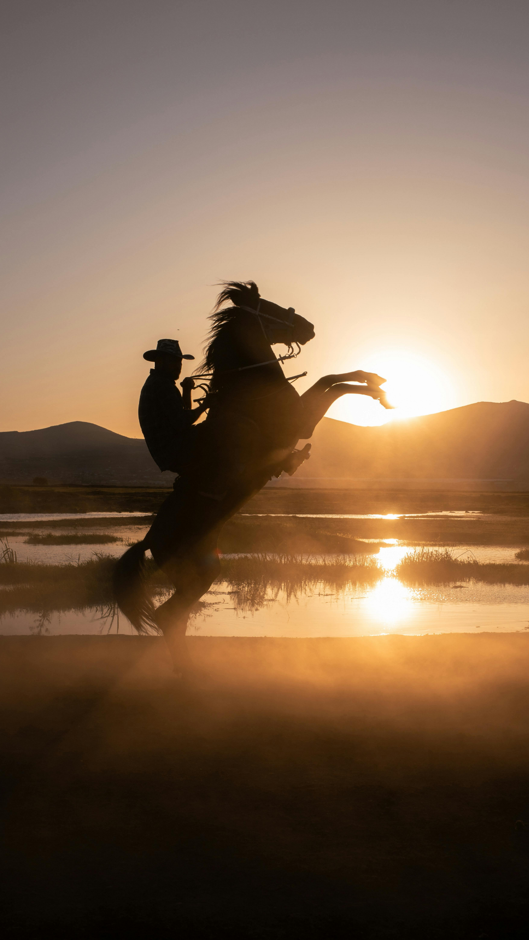 Fondo de pantalla Póster creativo Caballo Puesta de sol Naranja