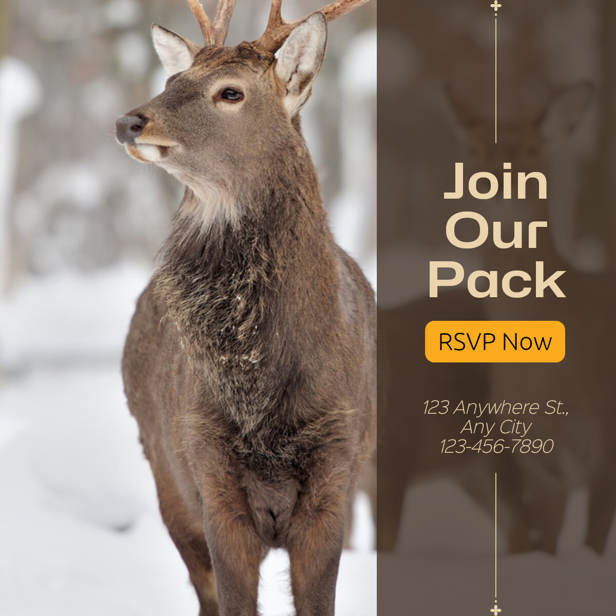 Convite Indústria Pet