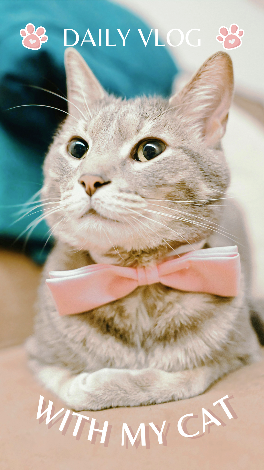 Tiktok Thumbnail Daily Vlog Dengan Tiktok Hewan Peliharaan Saya Lucu