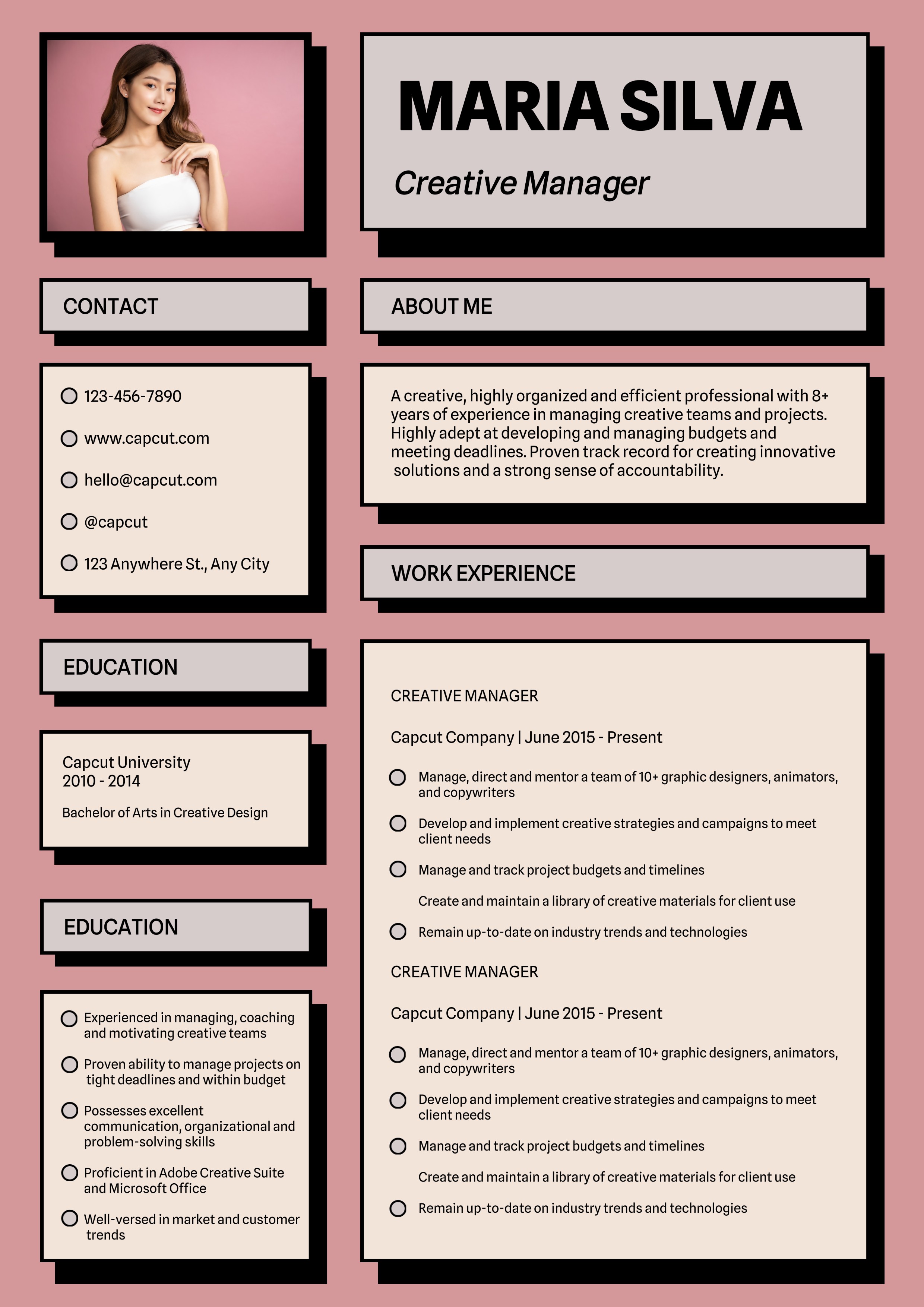 Gestor Criativo do Currículo Comercial