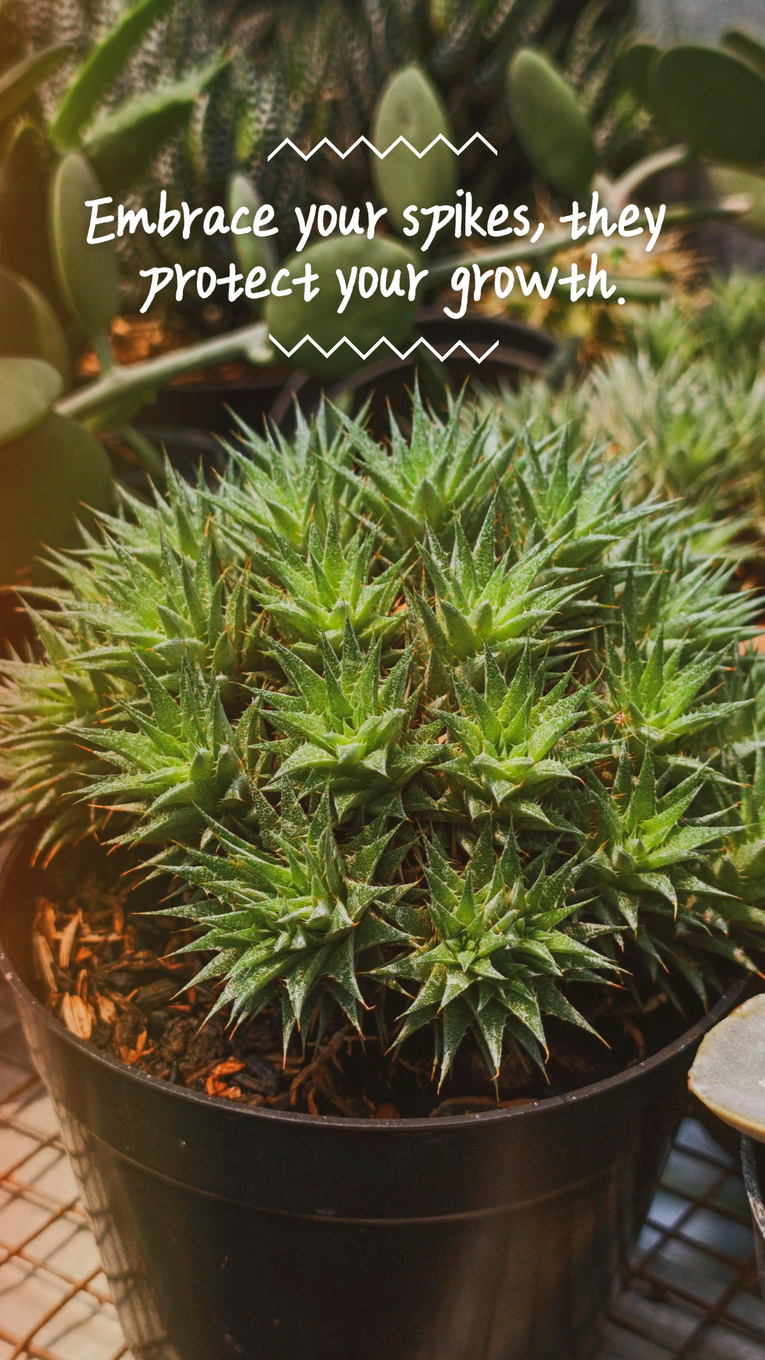 Wallpaper Poster Kreatif Tanaman dengan Kutipan Kenyamanan