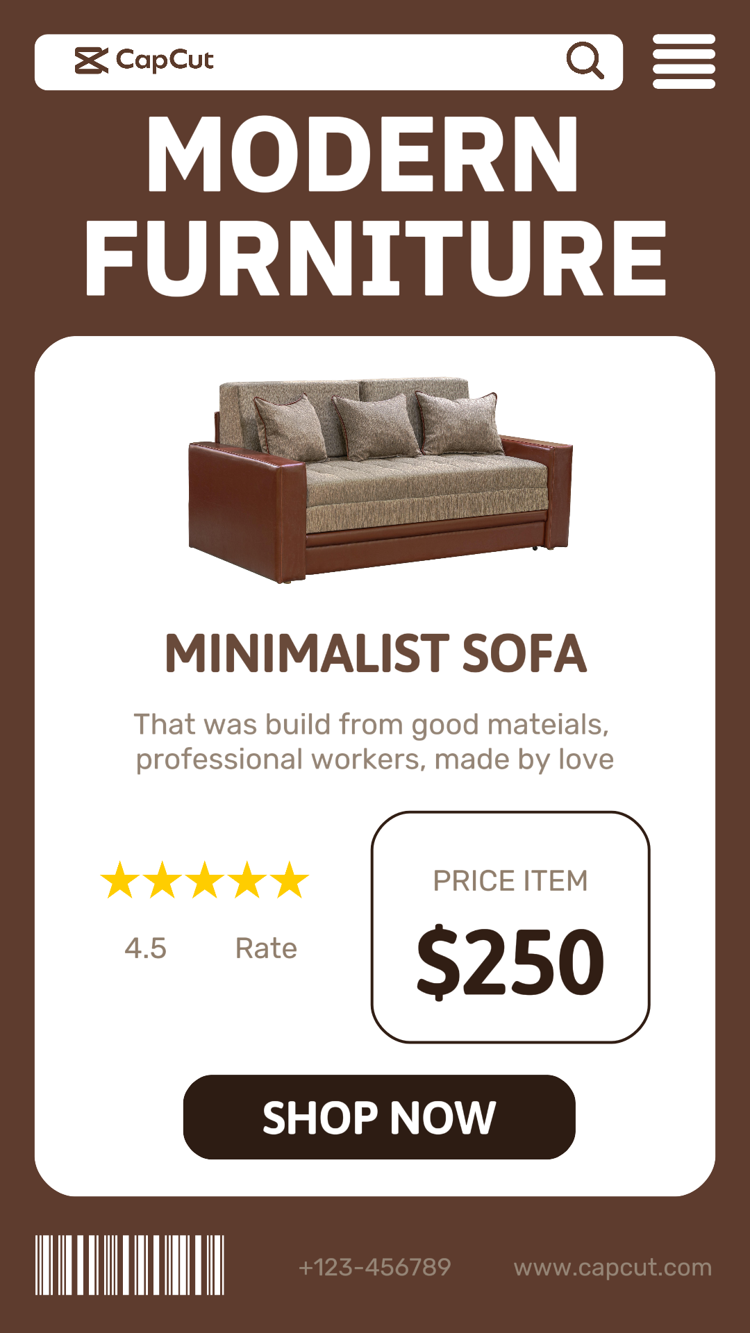 Modern Sofa Promotion Instagram Story