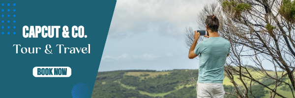 블루 모던 투어 및 여행 이메일 헤더