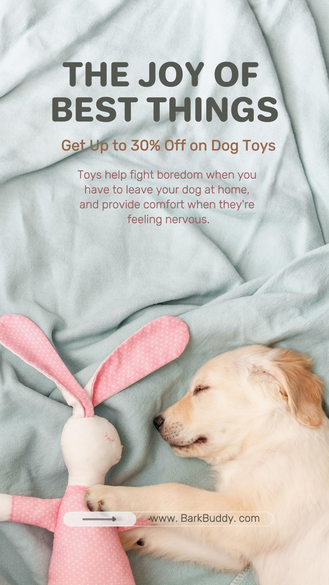 Publicación de tiktok de servicios para mascotas