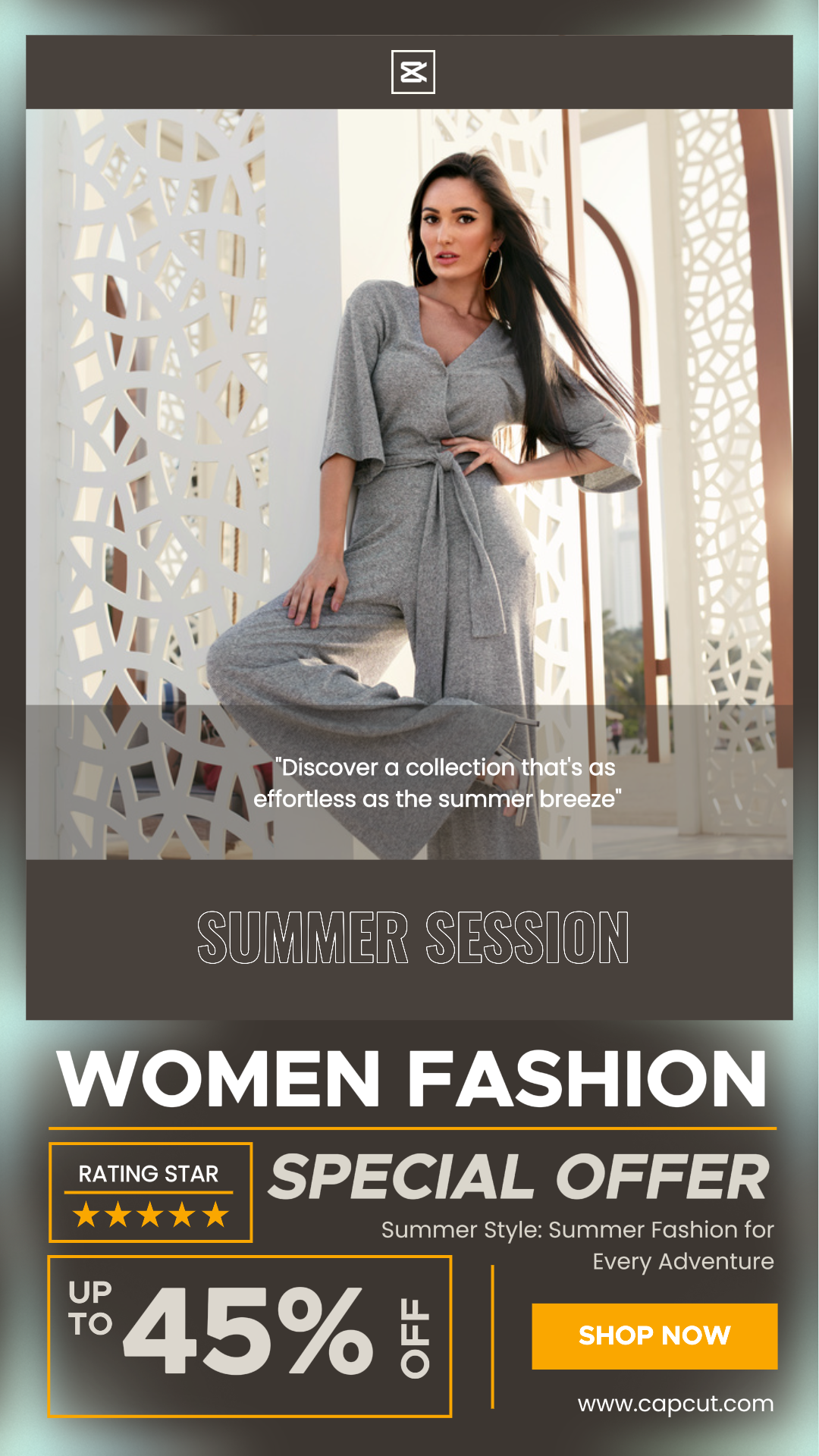 Tone On Tone Style Marketing Poster Women Fashion Instagram Story Brown Exotic