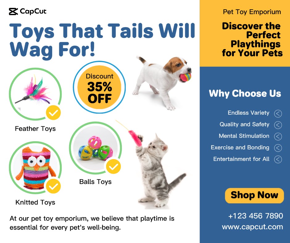 Promoción de juguetes para mascotas Publicación de Facebook