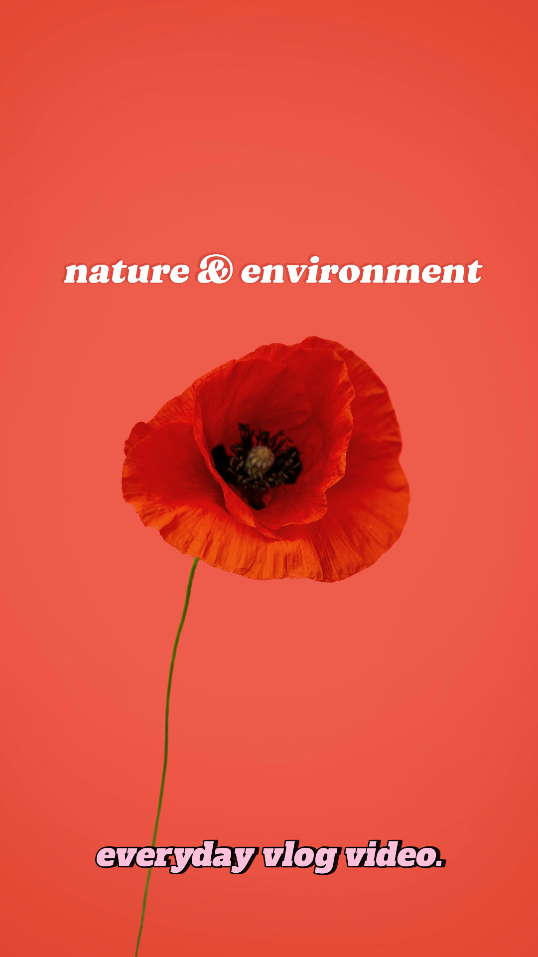 Miniatura do tiktok Vídeo Vlog Natureza e Meio Ambiente