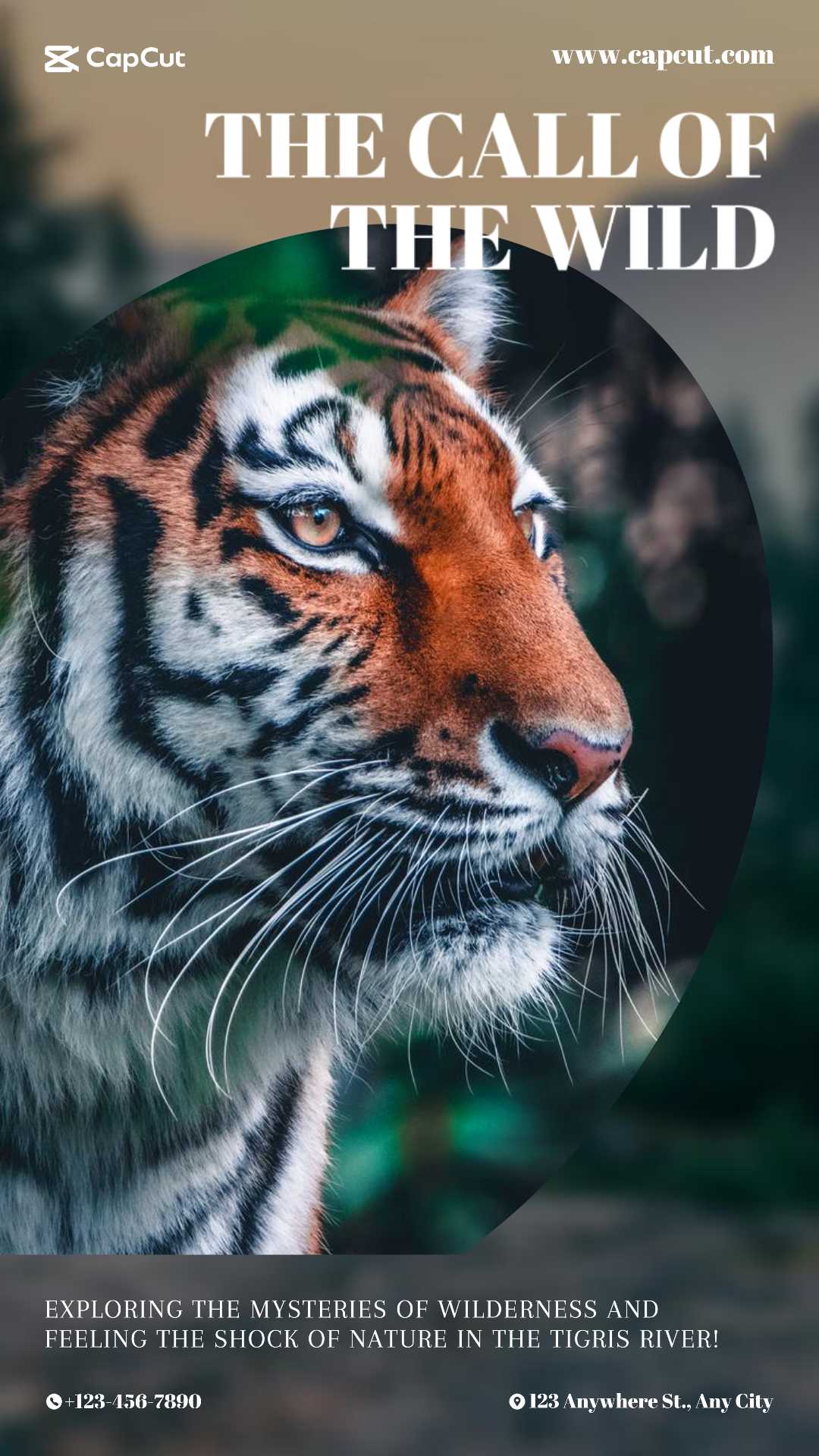 Reisen Wildlife Aktivitäten Minimalistisch