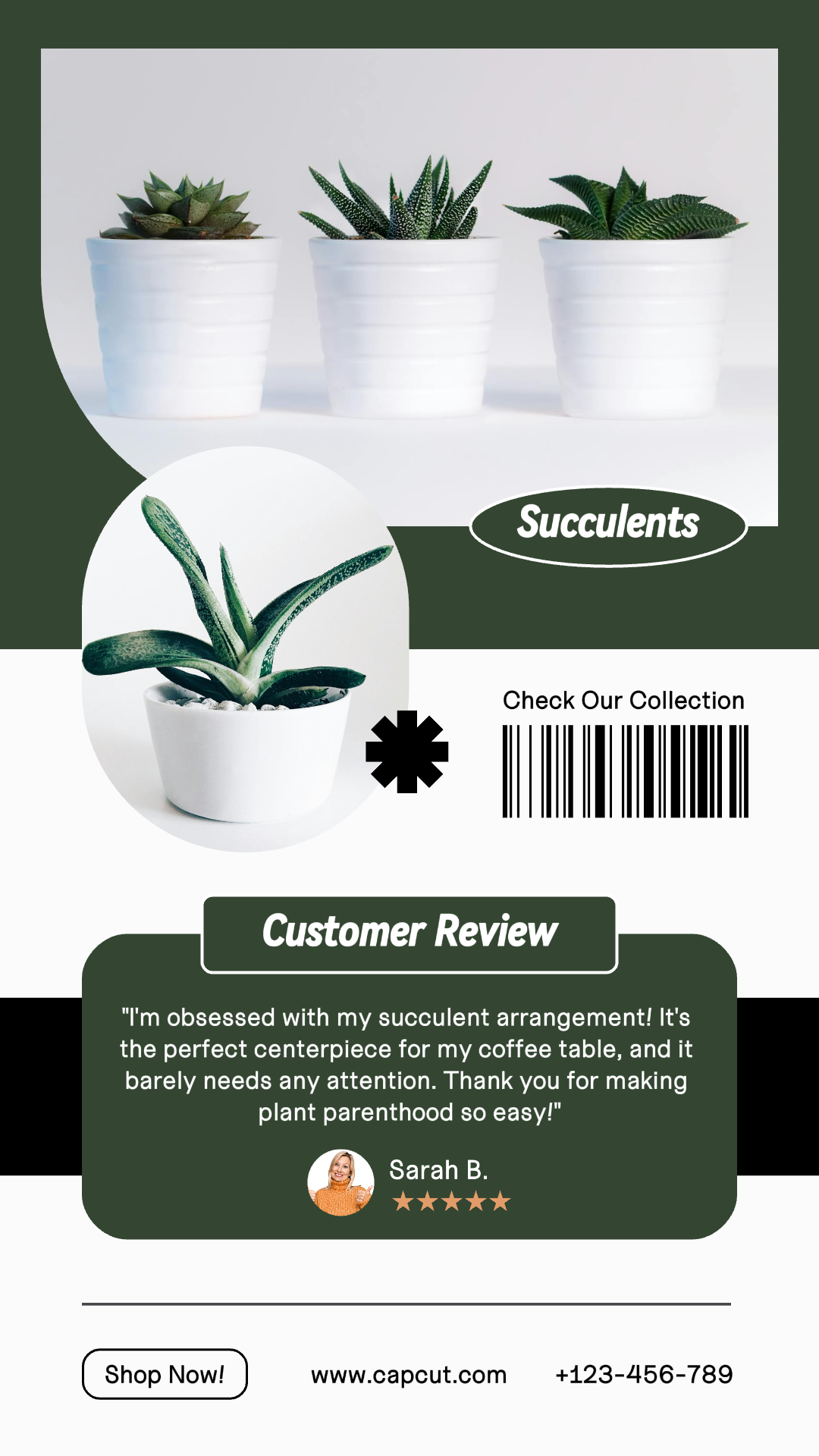 Household Succulent's Customer Review Instagram Story Green