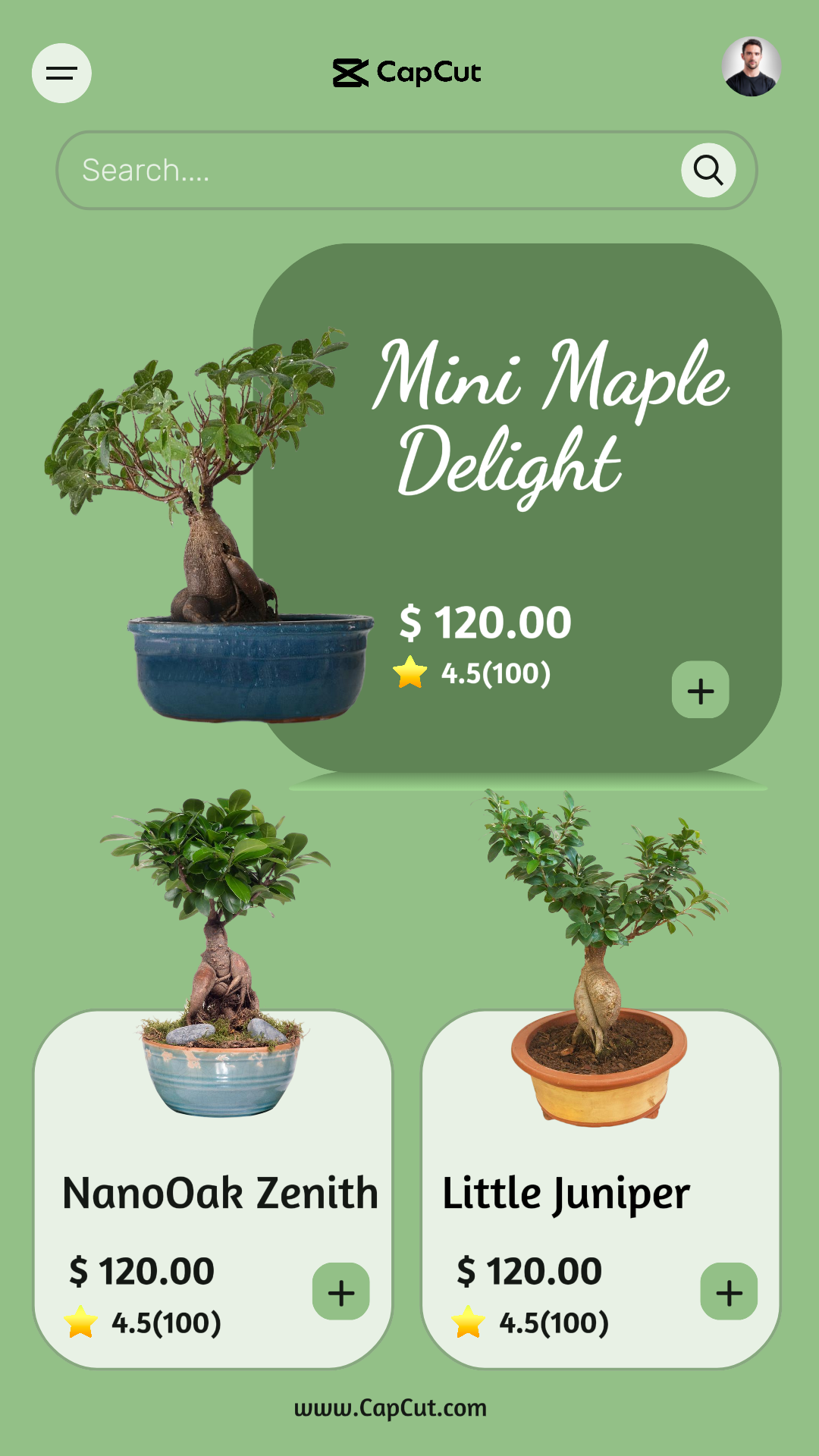 Colección de jardín para tienda online 