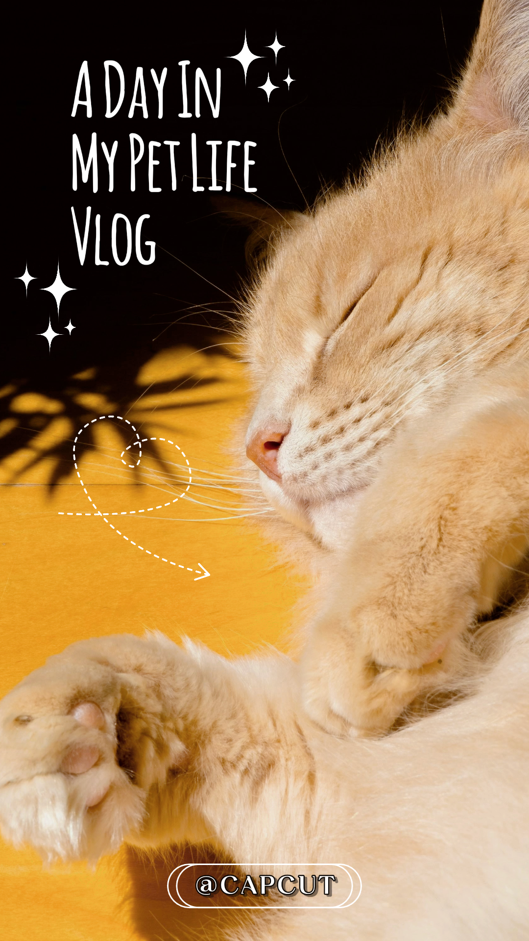 Tiktok Thumbnail My Pet Vlog Tiktok Aesthetic Cute