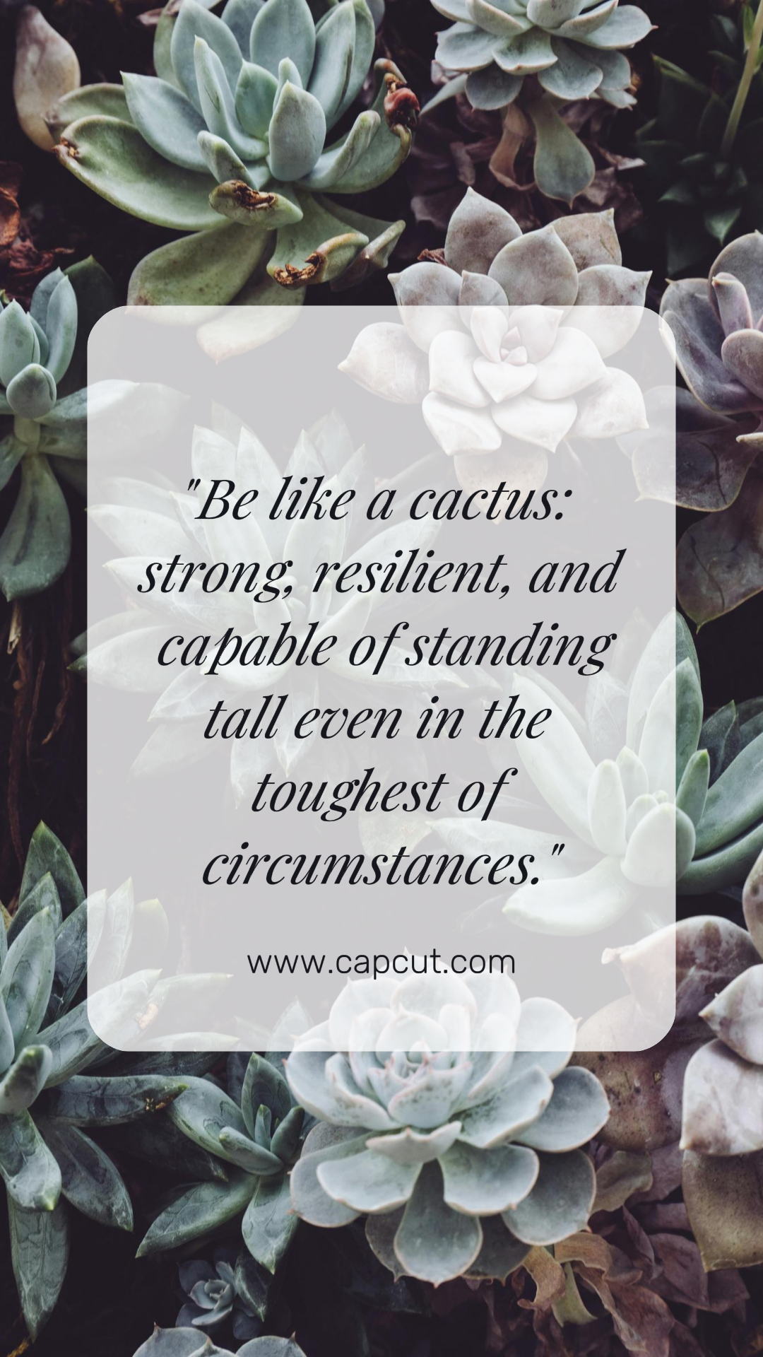 Wallpaper Poster Kreatif Kaktus Instagram Story Hijau