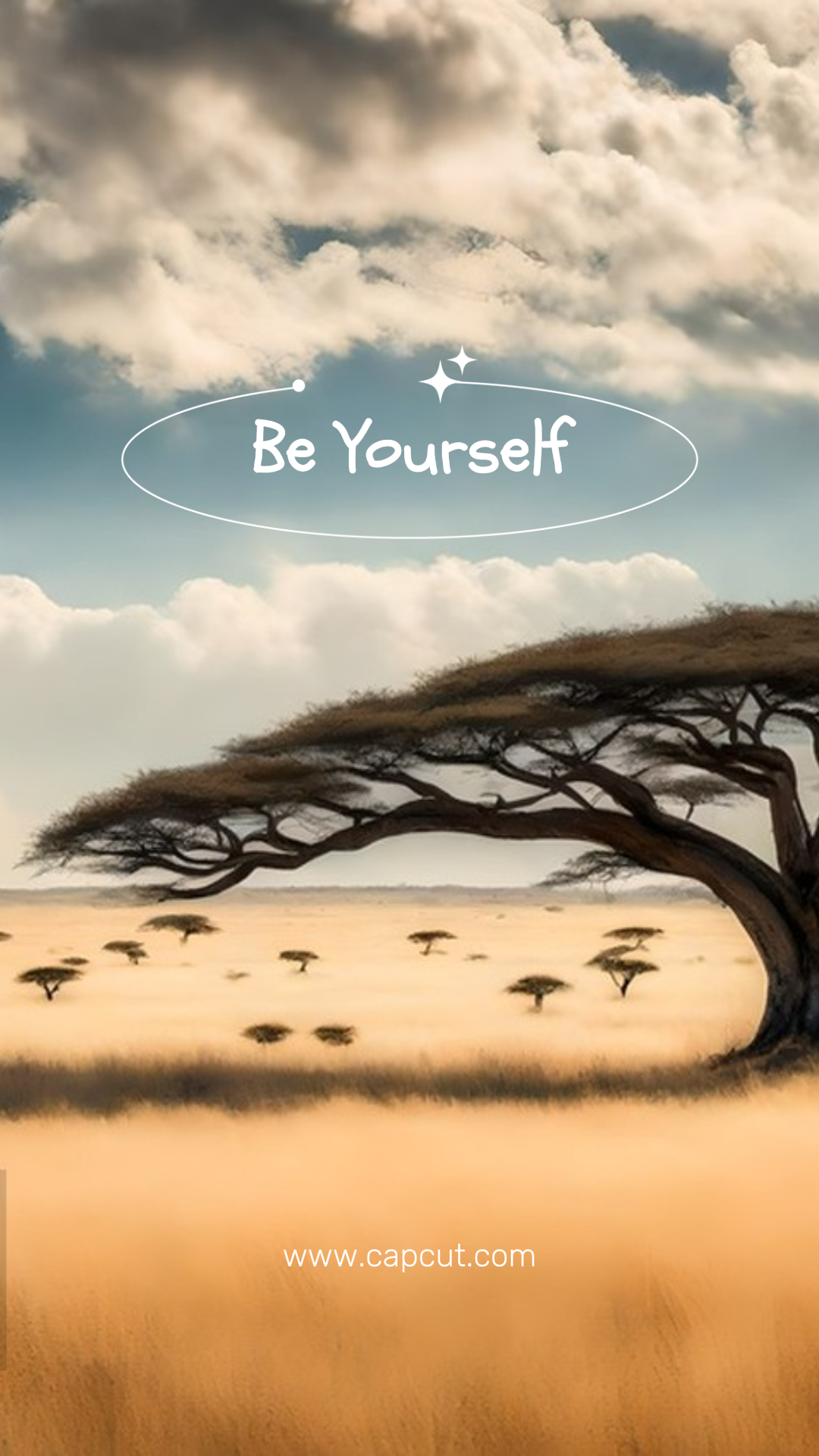 Wallpaper Creative Poster Trees Instagram Story