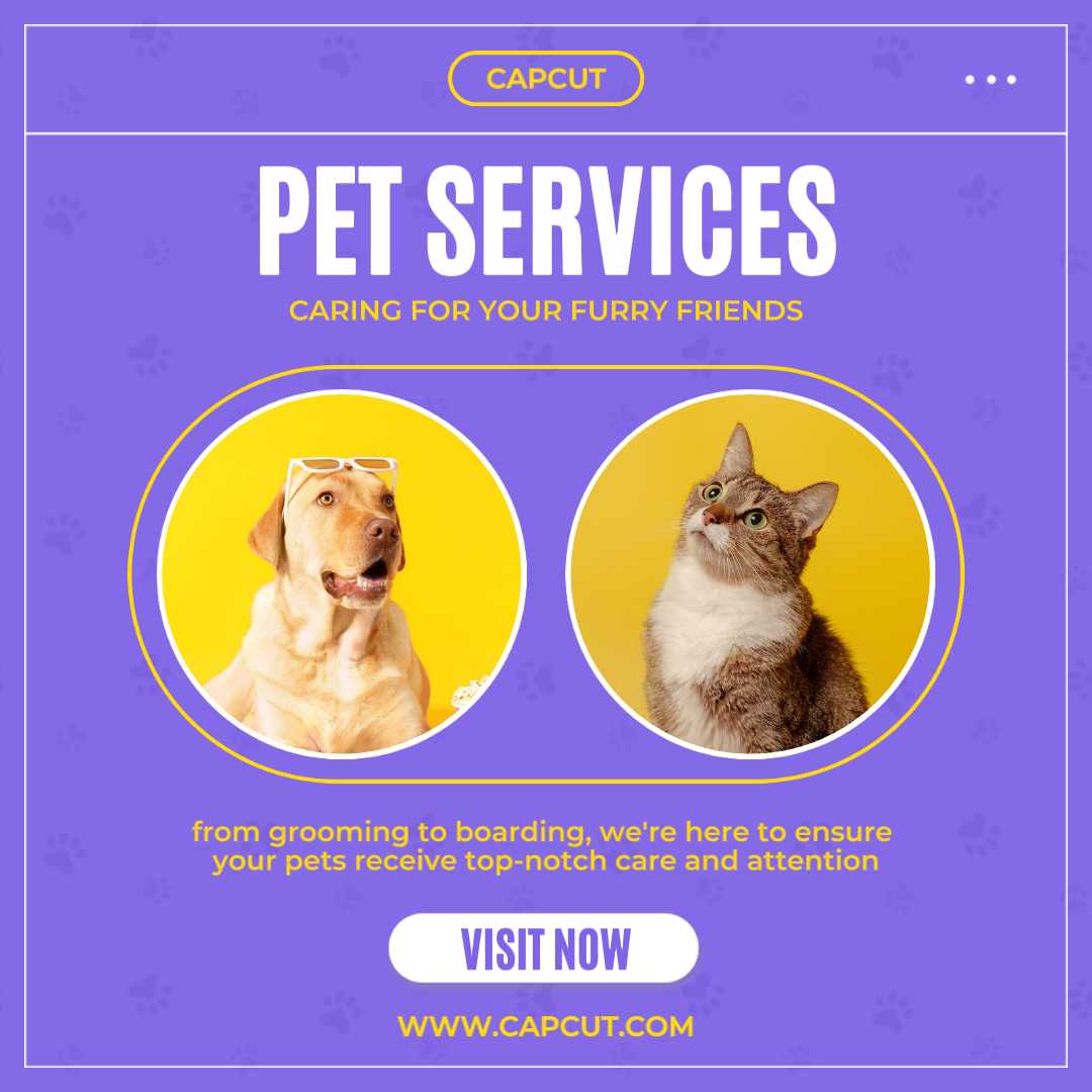 Post simples de serviços roxos para animais de estimação no Instagram