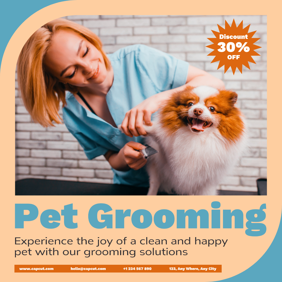 Services de toilettage pour animaux de compagnie Post Instagram