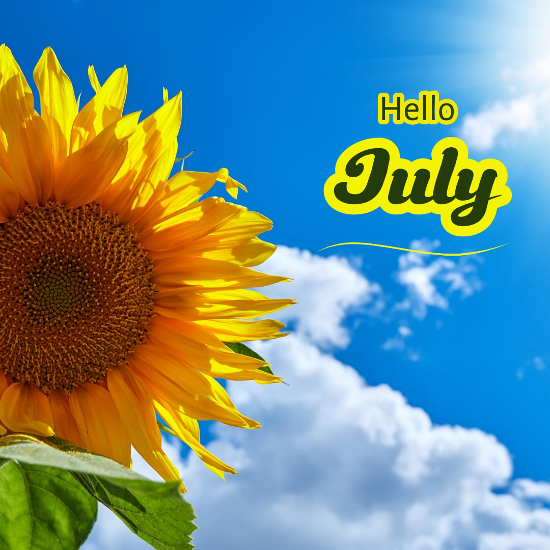 Hola julio cartel creativo publicación de instagram