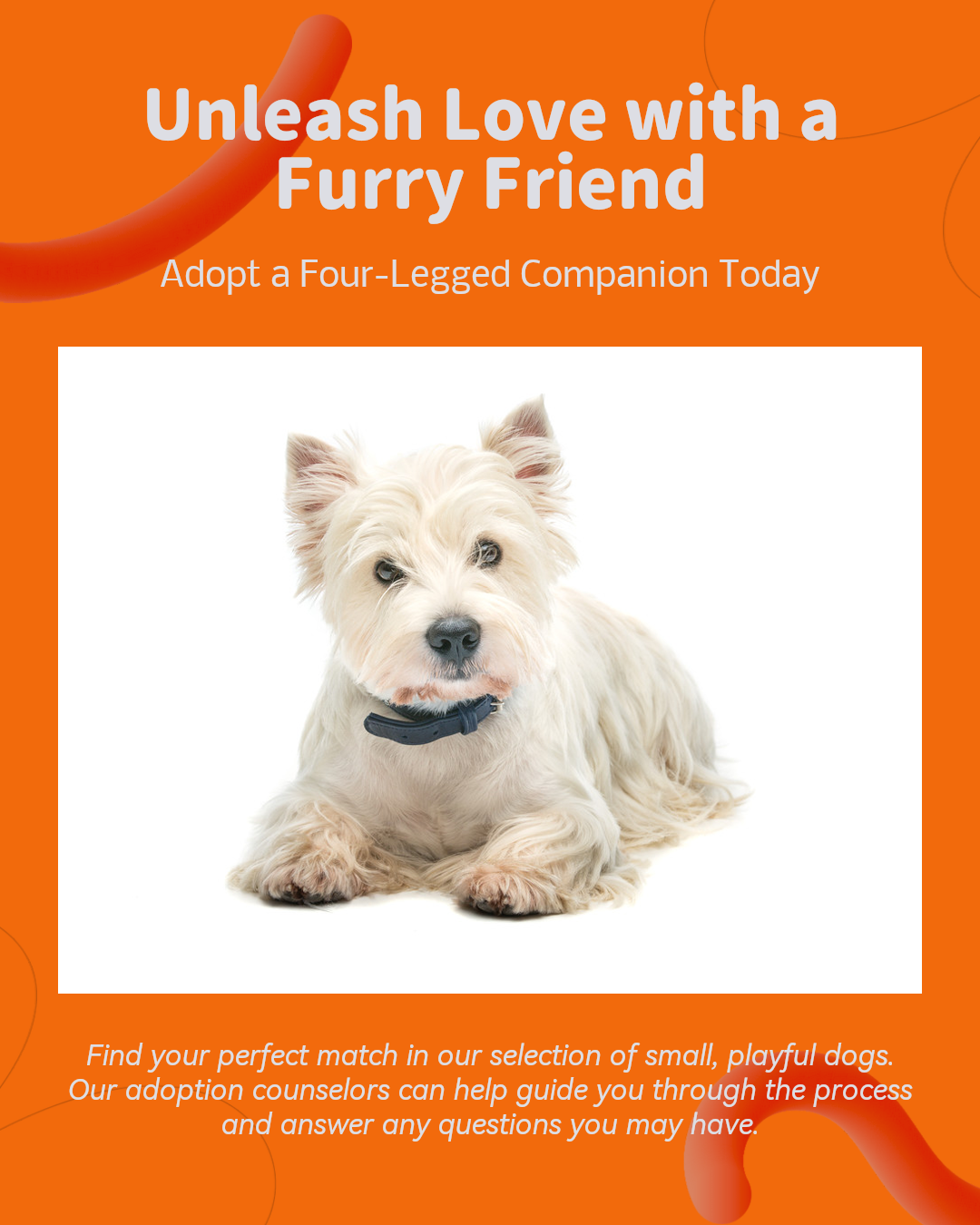 Pet industry General