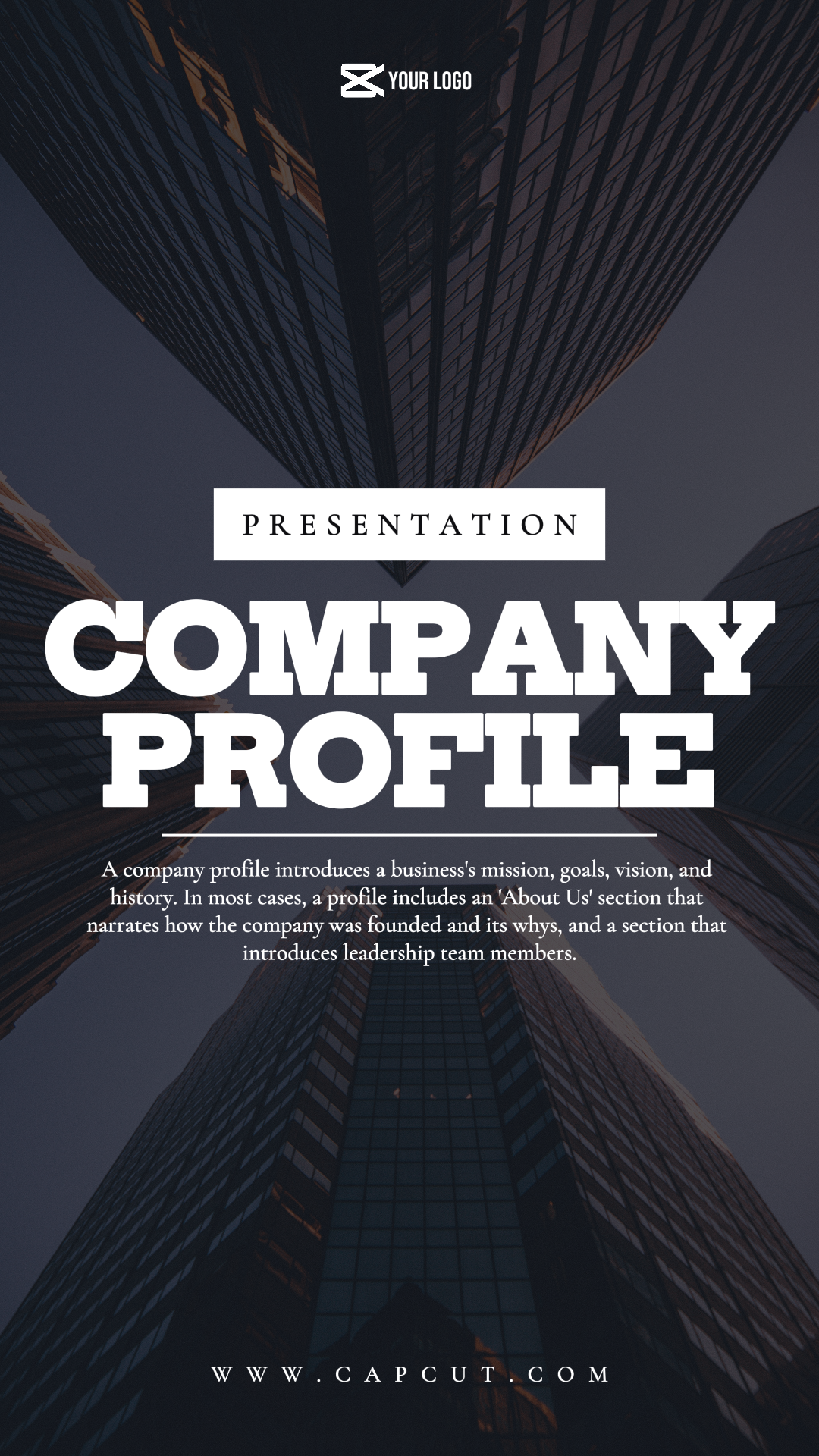 Negócios Perfil da empresa Instagram Story Minimalista branco e preto