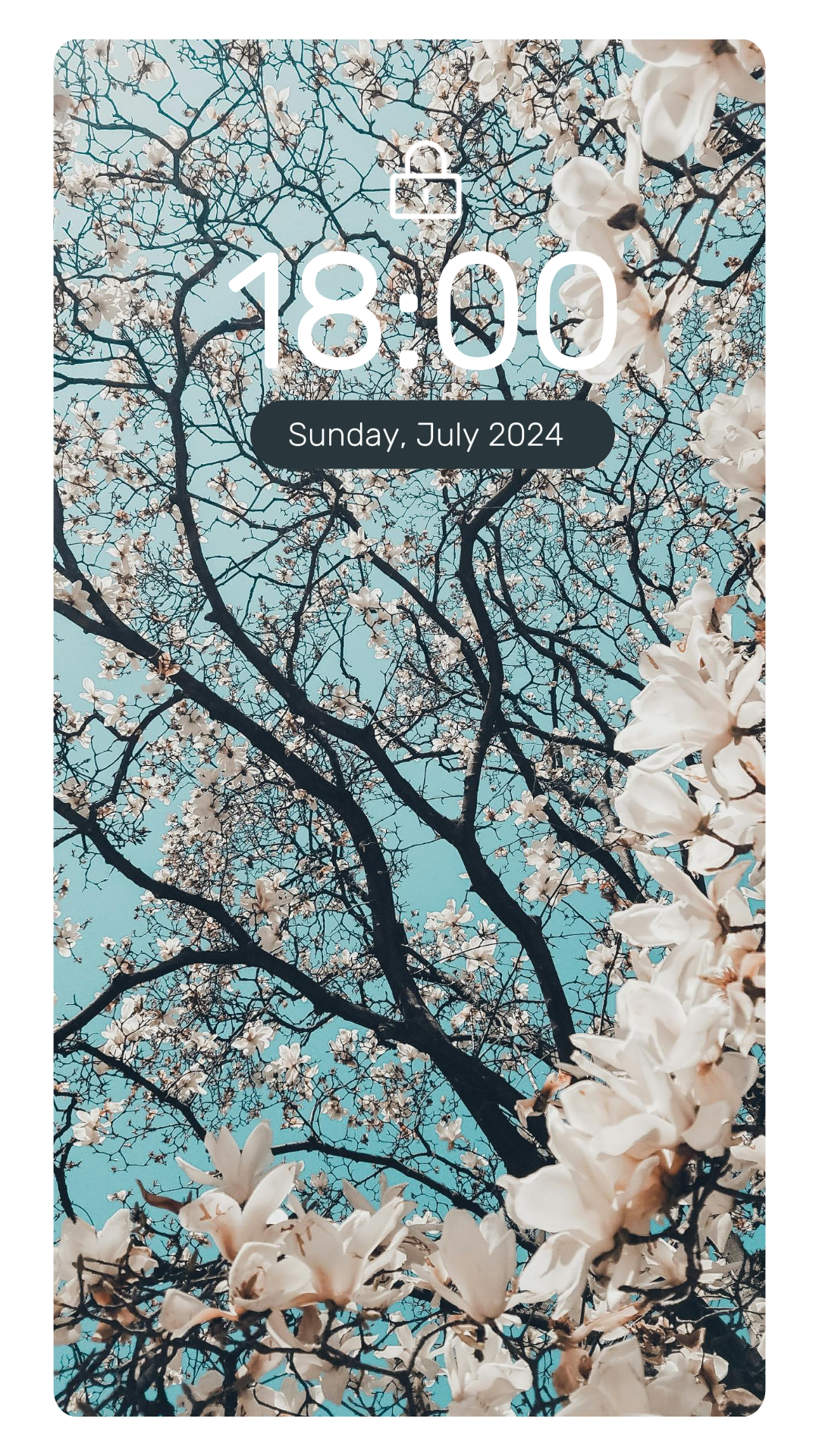 Wallpaper creative poster Instagram story flower