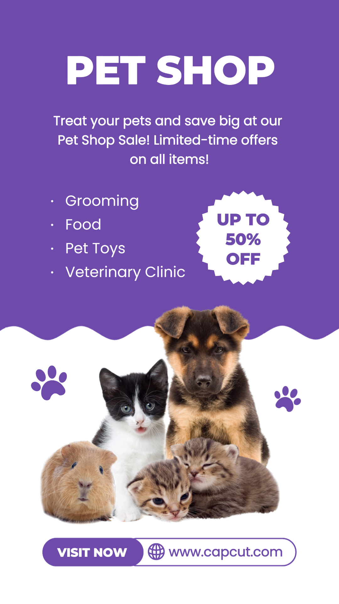 Tiktok thumbnail pet shop