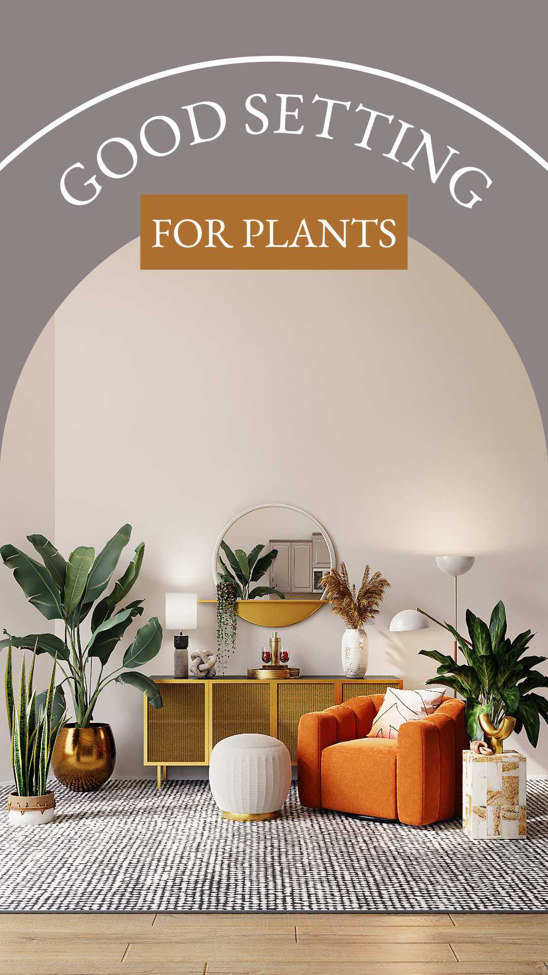 9 : 16 Vignette YouTube - Apprendre un bon réglage pour les plantes