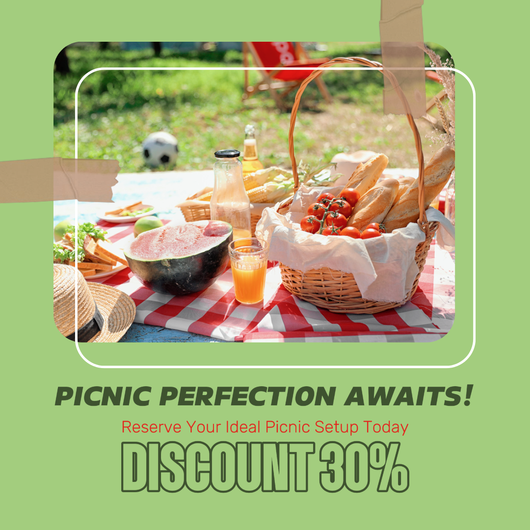 Picnic Setup Rent Promotion Instagram Post