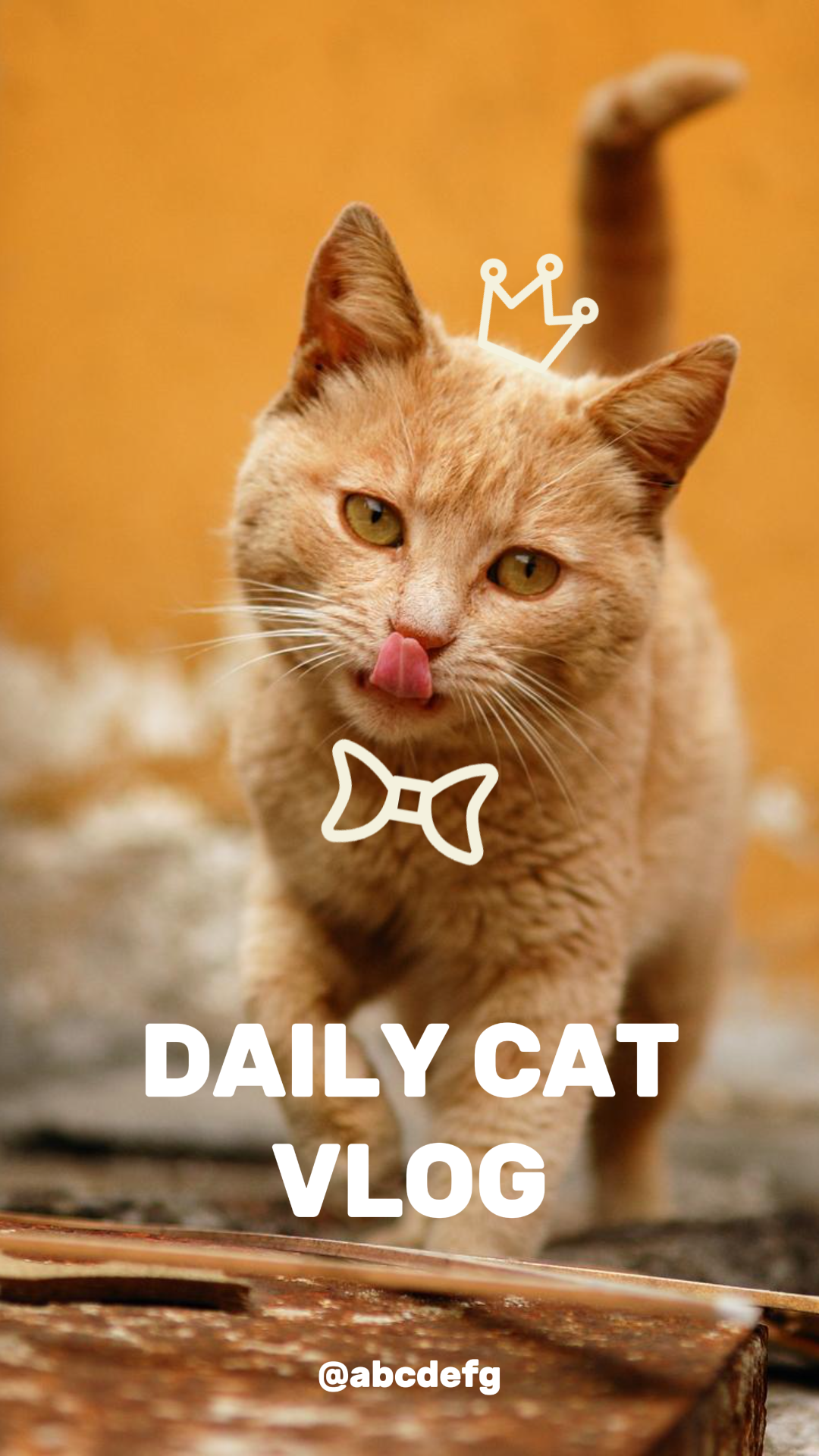 TikTok Thumbnail Marketing Poster Tiktok Orange Cat