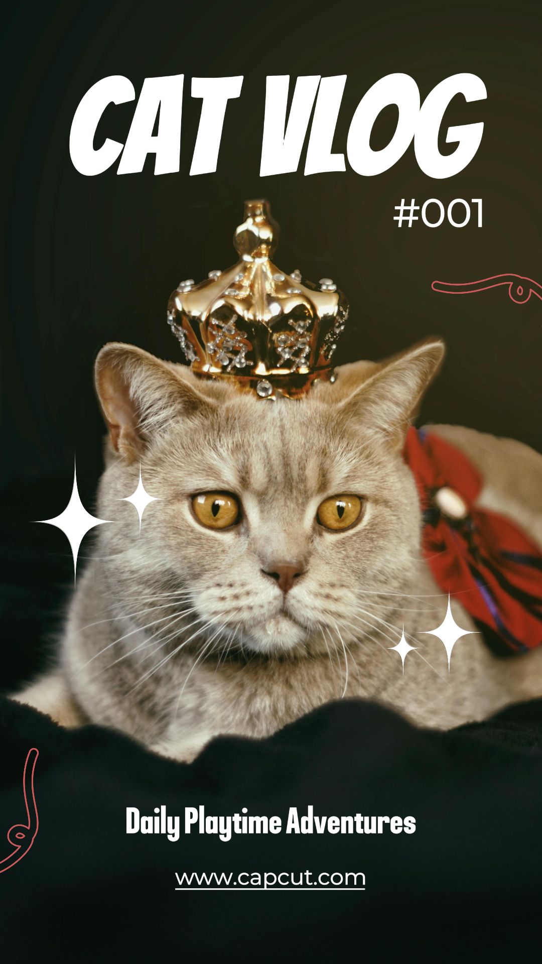 Tiktok Thumbnail Katze Vlog Haustiere