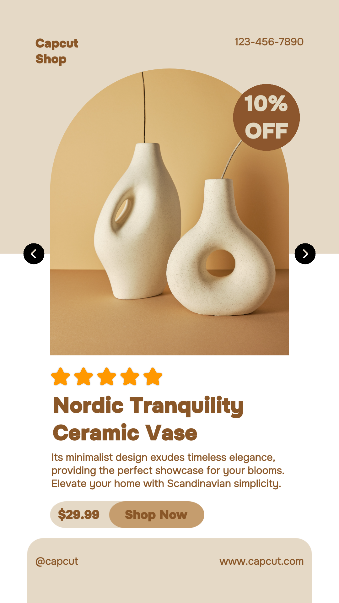 Möbel Flower Vas Promotion Instagram Story