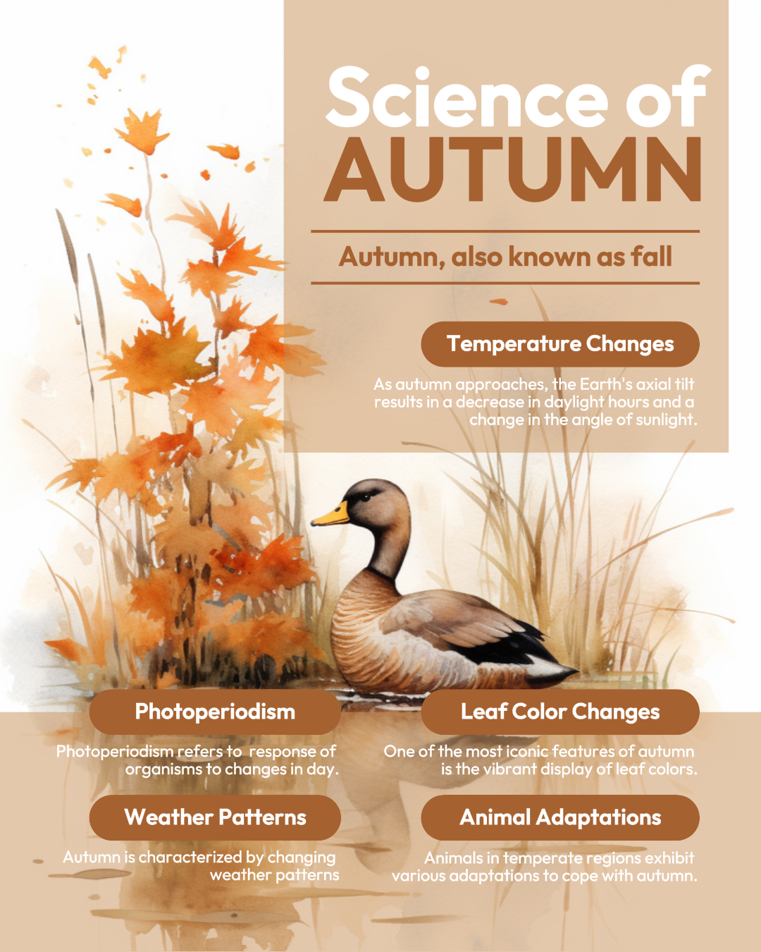Education Creative Poster Science of Autumn