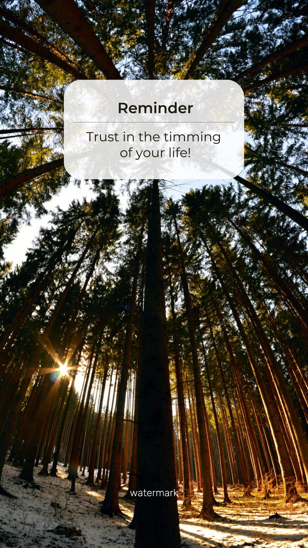 Wallpaper Creative Poster Quotes Lembrete "Confie no tempo de sua vida"