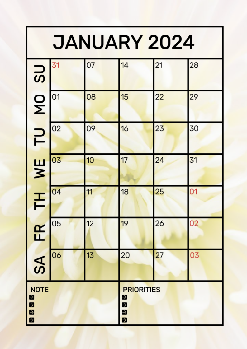 计划和时间表2024年1月