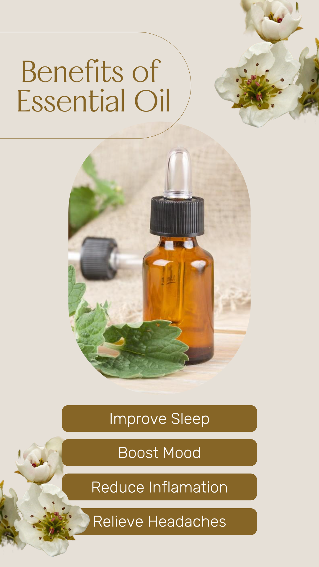 Exhibición De Productos De Aceite Esencial De Belleza