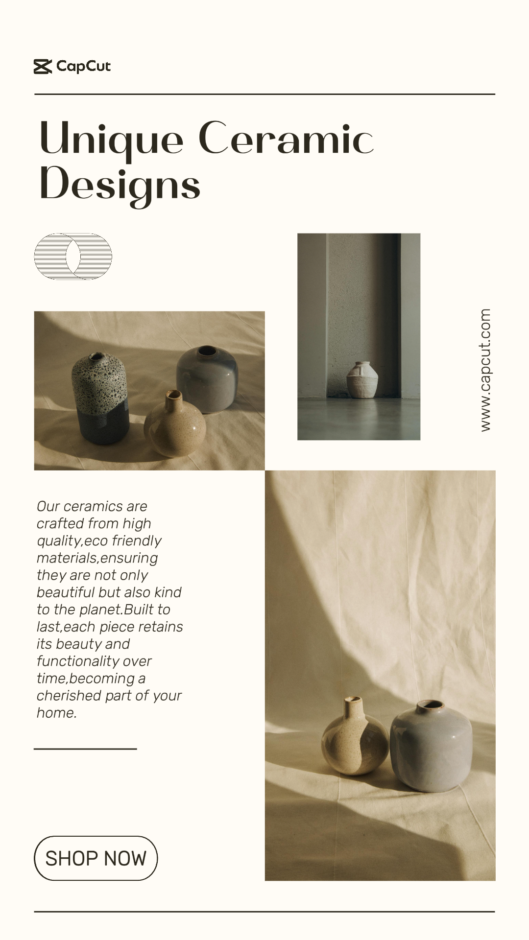 Minimalist Collage - Household Accessories & Furniture Product Display Instagram Story