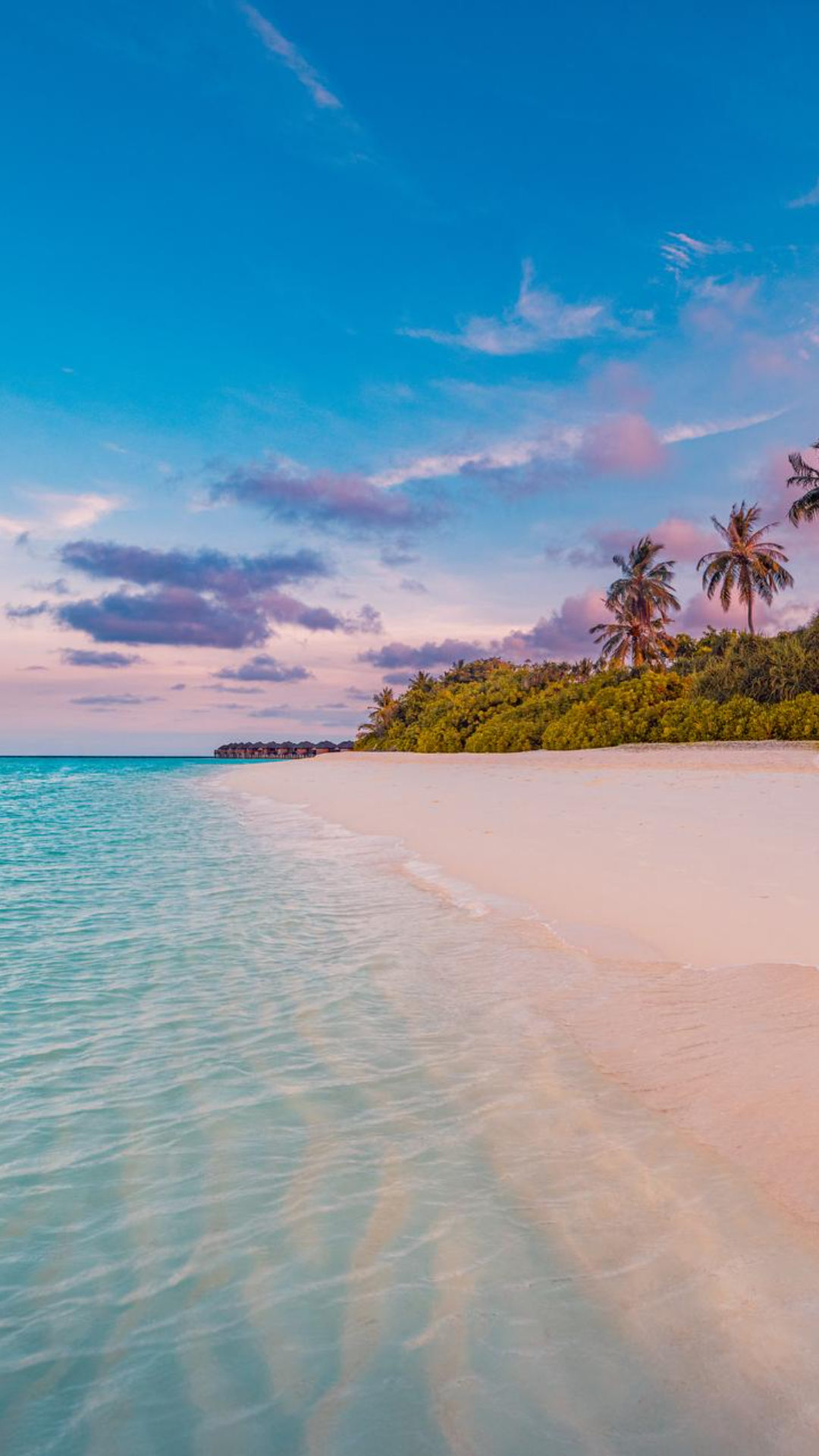 Wallpaper creative poster beach