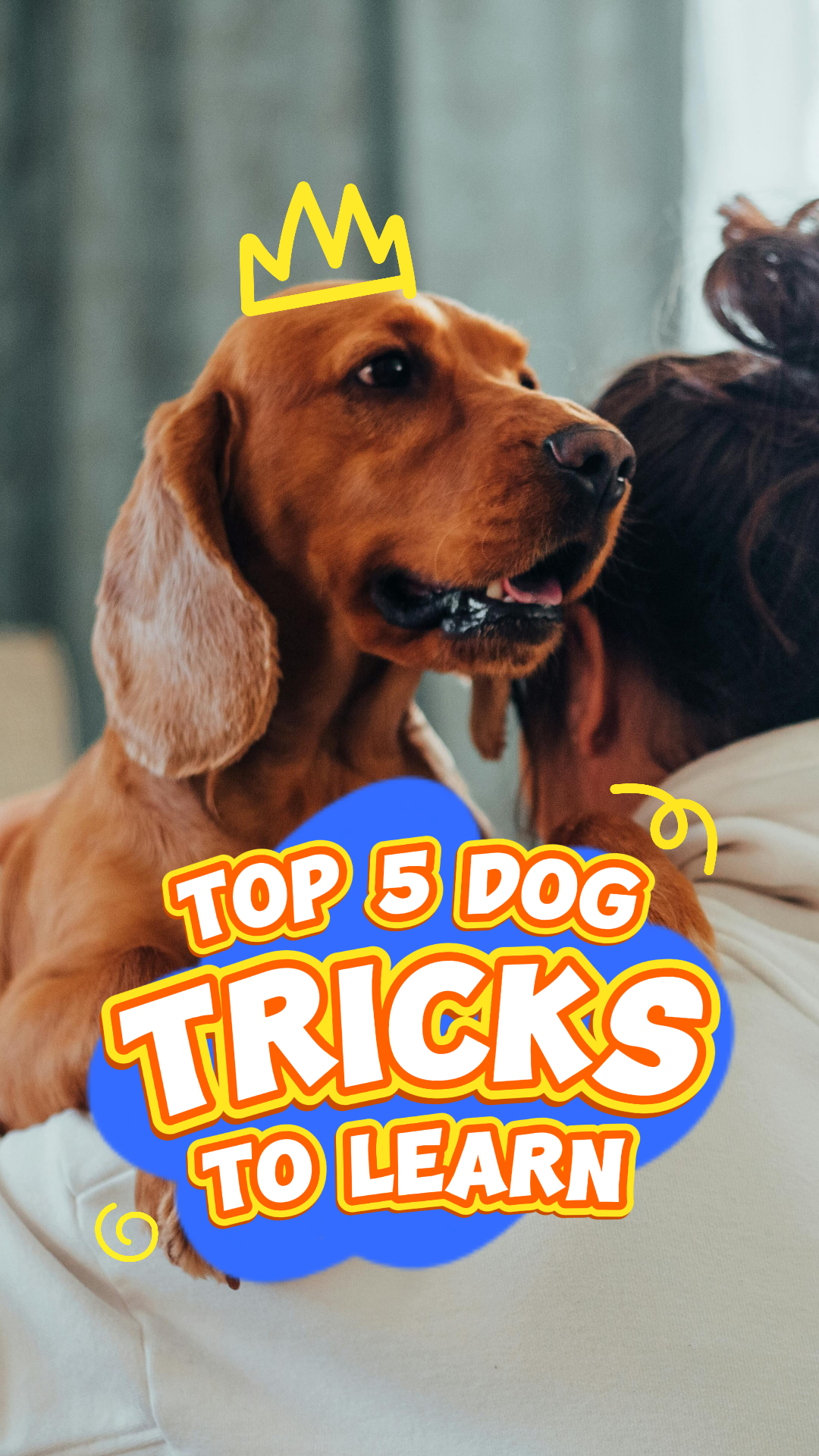 Miniatura de TikTok - Mascotas - Los 5 mejores trucos para perros para aprender
