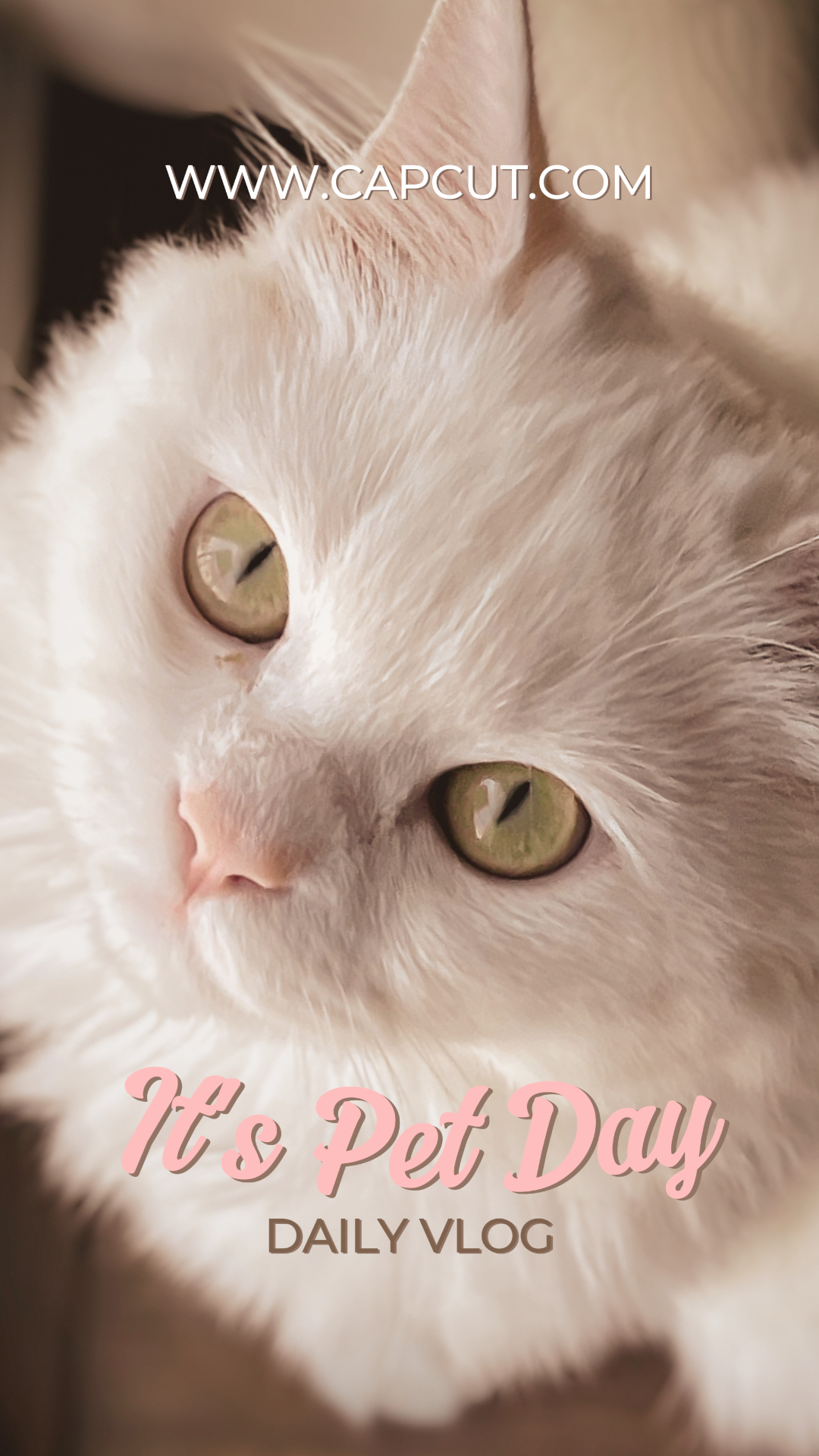 TikTok Thumbnail Daily Vlog It's Pet Day White Pink